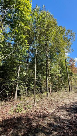 0 Owl Hollow Road 2, Palmer, TN 37365