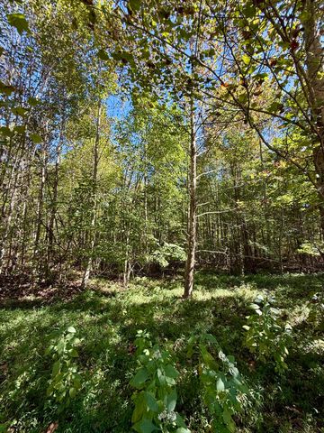 0 Owl Hollow Road 2, Palmer, TN 37365