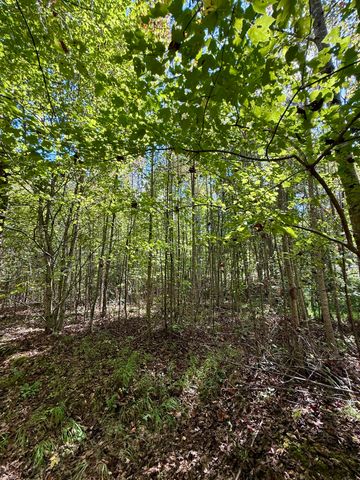 0 Owl Hollow Road 2, Palmer, TN 37365