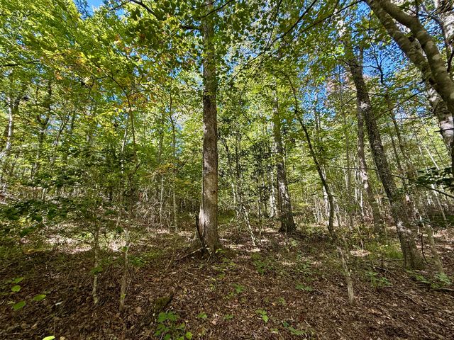 0 Owl Hollow Road 2, Palmer, TN 37365