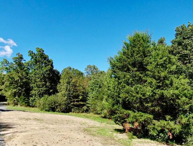 0 Owl Hollow Road 2, Palmer, TN 37365