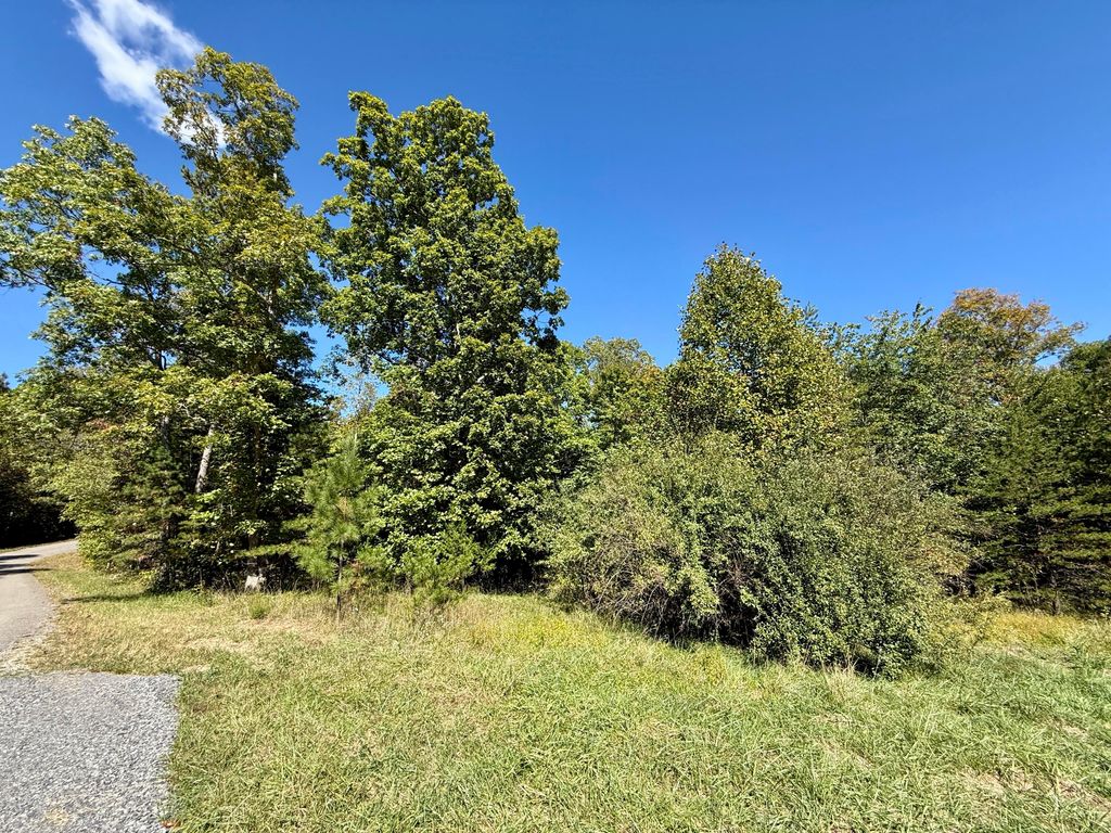0 Owl Hollow Road 2, Palmer, TN 37365