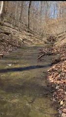 0 Simmons Ct, Ashland City, TN 37015