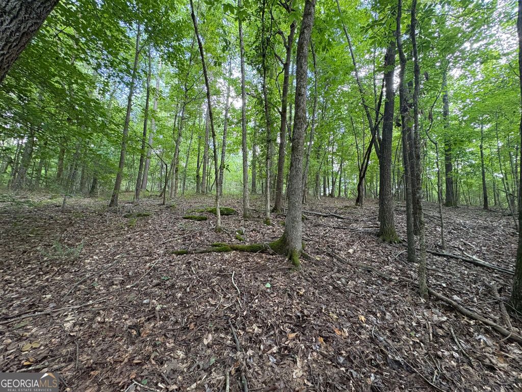 1208 Hornets Bridge Drive, Elberton, GA 30635 — photo 4