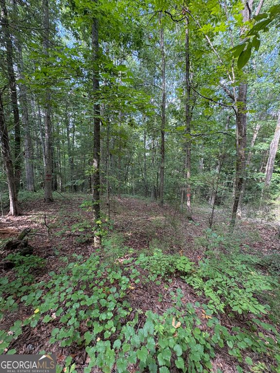 1208 Hornets Bridge Drive, Elberton, GA 30635 — photo 5
