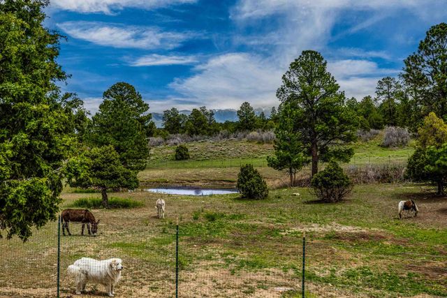3460 Mariposa Drive, Montrose, CO 81403