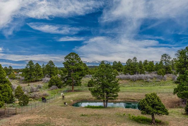 3460 Mariposa Drive, Montrose, CO 81403
