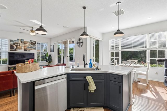14413 MIRABELLE VISTA CIRCLE, Tampa, FL 33626