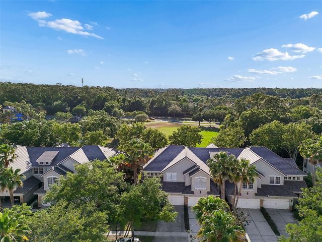14413 MIRABELLE VISTA CIRCLE, Tampa, FL 33626