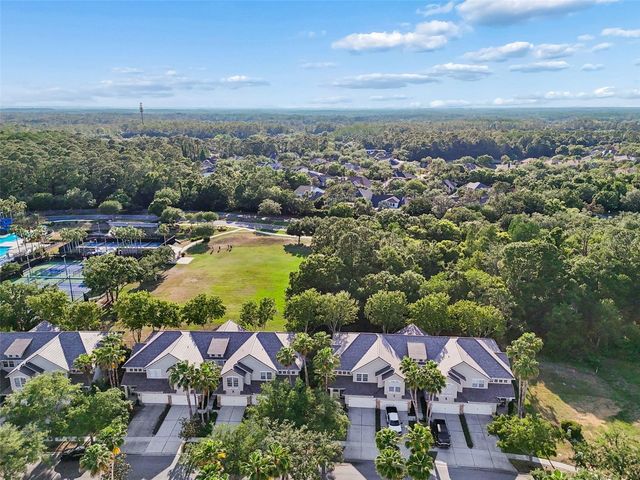 14413 MIRABELLE VISTA CIRCLE, Tampa, FL 33626