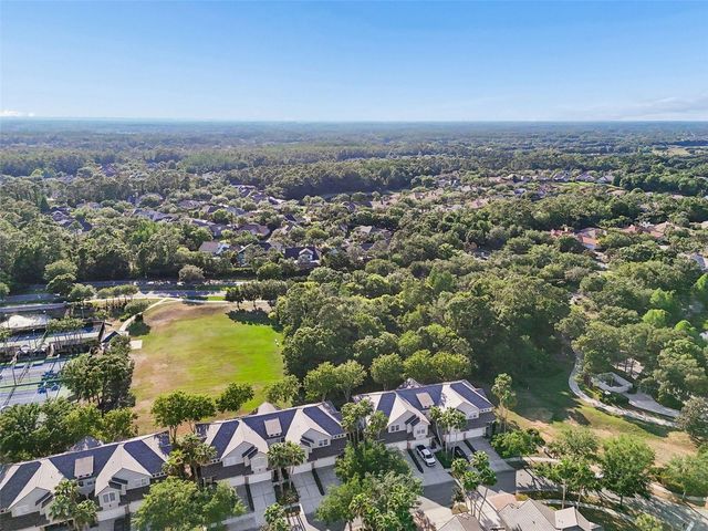 14413 MIRABELLE VISTA CIRCLE, Tampa, FL 33626