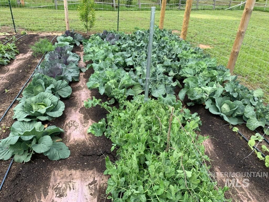 610 Cabarton Rd, Cascade, ID 83611 photo 44