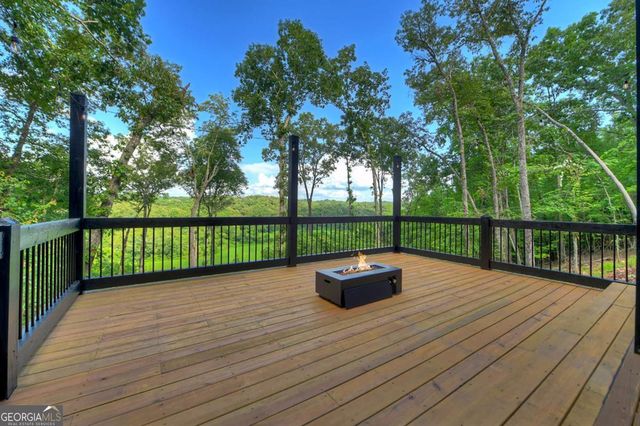 1729 Barnes Chapel Road, Blue Ridge, GA 30513