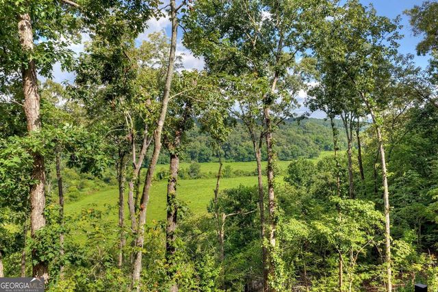 1729 Barnes Chapel Road, Blue Ridge, GA 30513
