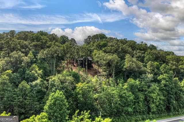 1729 Barnes Chapel Road, Blue Ridge, GA 30513