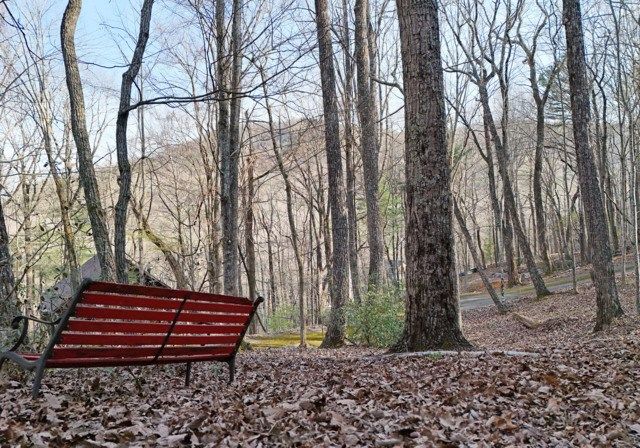 705 Laurel Ridge Drive, Ellijay, GA 30536