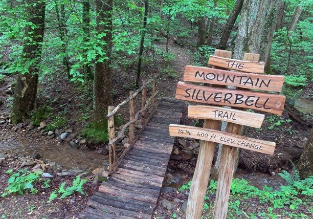 705 Laurel Ridge Drive, Ellijay, GA 30536