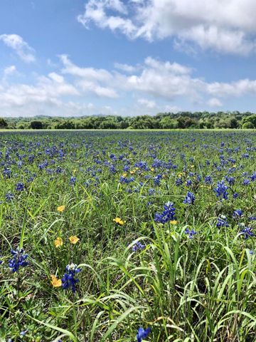 100 Dario DR, Dripping Springs, TX 78620