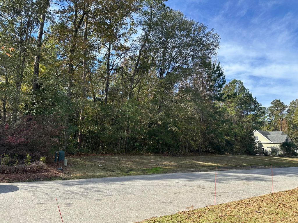 4213 Lady Banks Lane, Ravenel, SC 29470