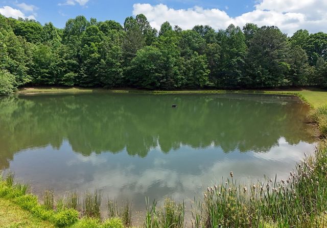 237 Terrace Lane, Blairsville, GA 30512