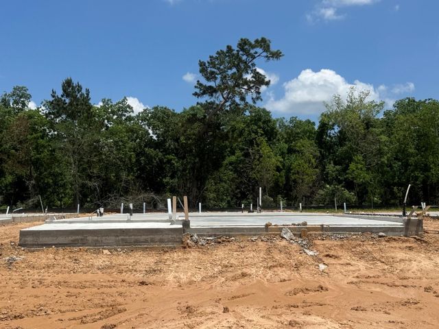 20839 Wildbird Cherry Lane, Porter, TX 77365