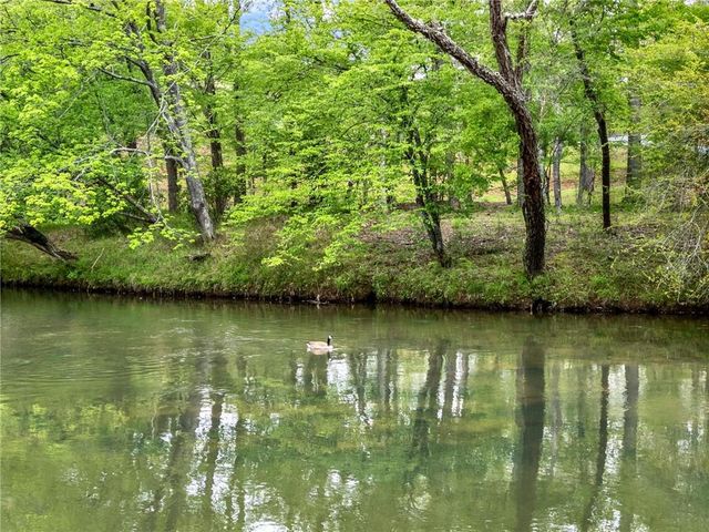 133 Muller Lane, Ellijay, GA 30540