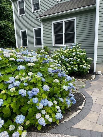 177 Bay Colony Drive, Westwood, MA 02090