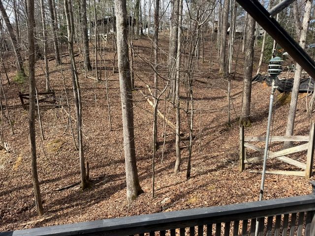 532 10th Street, Ellijay, GA 30540