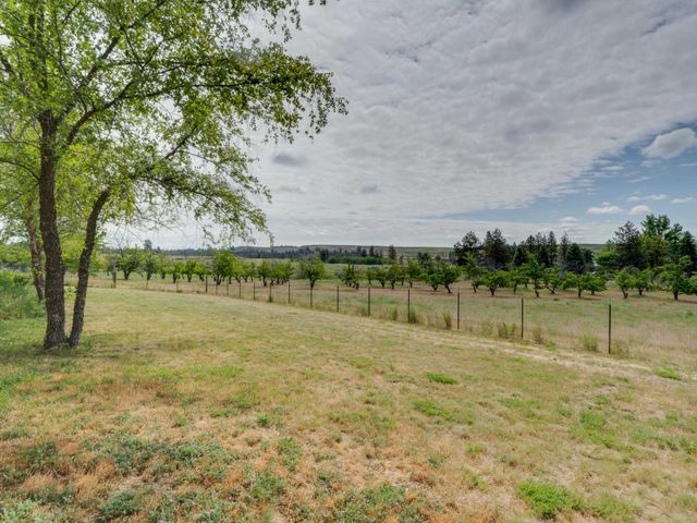 32917 S Williams Ave, Cheney, WA 99004