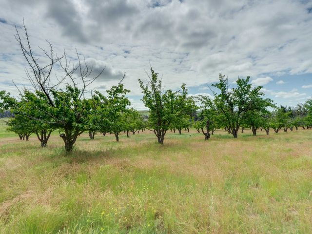 32917 S Williams Ave, Cheney, WA 99004