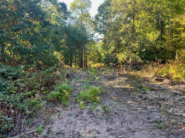 4735 Leaning Birch Drive, Long Lake Twp, MI 49685