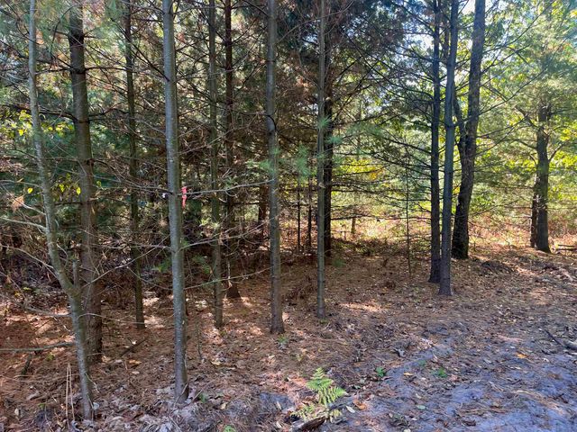 4735 Leaning Birch Drive, Long Lake Twp, MI 49685