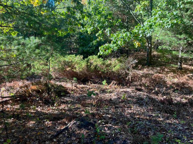 4735 Leaning Birch Drive, Long Lake Twp, MI 49685