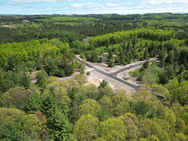 4735 Leaning Birch Drive, Long Lake Twp, MI 49685