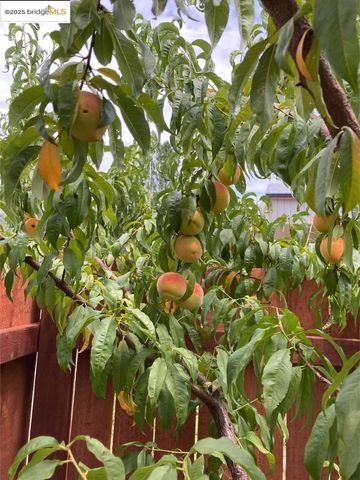 18717 Mill Villa RD 250, Jamestown, CA 95327