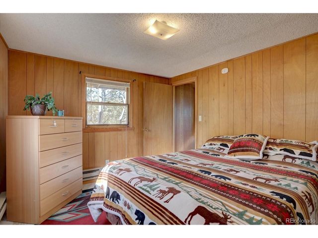 255 Saddlestring Rd, Bailey, CO 80421