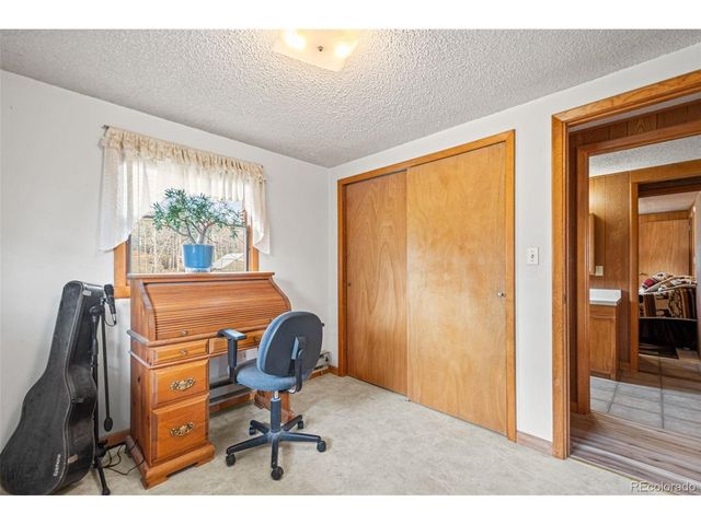 255 Saddlestring Rd, Bailey, CO 80421