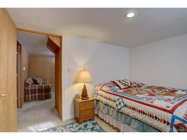 255 Saddlestring Rd, Bailey, CO 80421