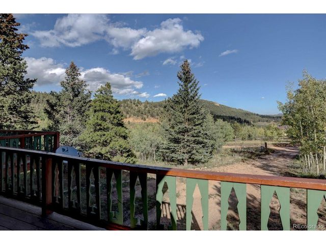 255 Saddlestring Rd, Bailey, CO 80421