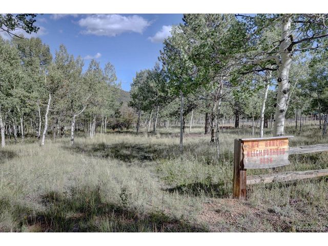 255 Saddlestring Rd, Bailey, CO 80421