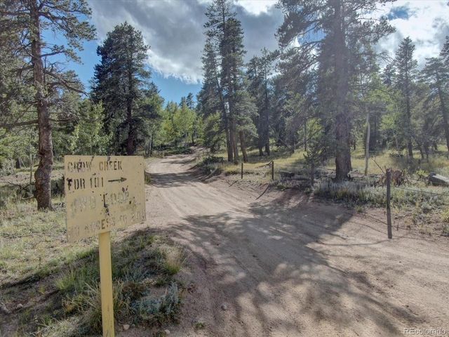 255 Saddlestring Rd, Bailey, CO 80421