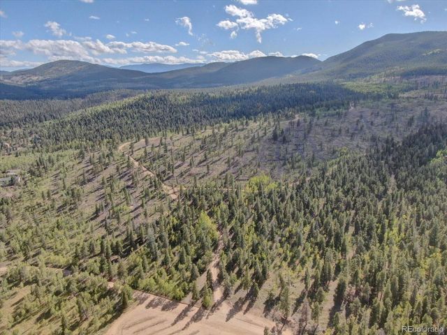 255 Saddlestring Rd, Bailey, CO 80421