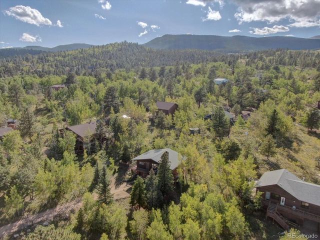 255 Saddlestring Rd, Bailey, CO 80421
