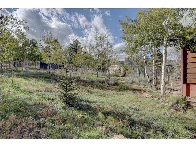 255 Saddlestring Rd, Bailey, CO 80421