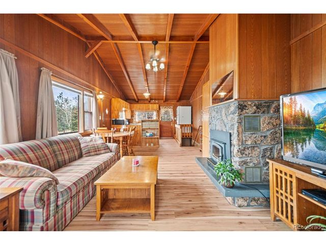 255 Saddlestring Rd, Bailey, CO 80421