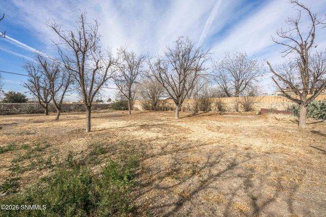 105 Los Nogales Drive, Las Cruces, NM 88001