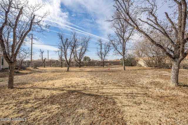 105 Los Nogales Drive, Las Cruces, NM 88001