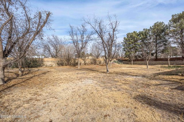 105 Los Nogales Drive, Las Cruces, NM 88001