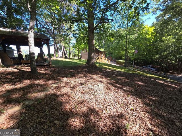 854 Rizzitello Lane, Blairsville, GA 30512
