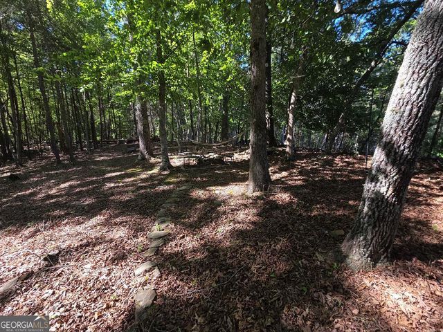 854 Rizzitello Lane, Blairsville, GA 30512